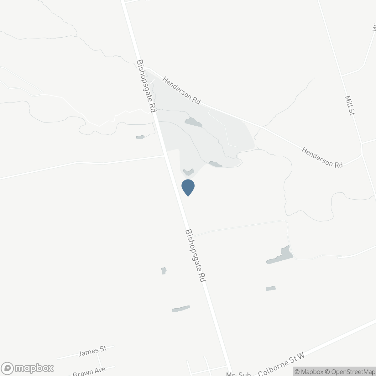 398 BISHOPGATE Road, Brantford, Ontario N3T 5L7